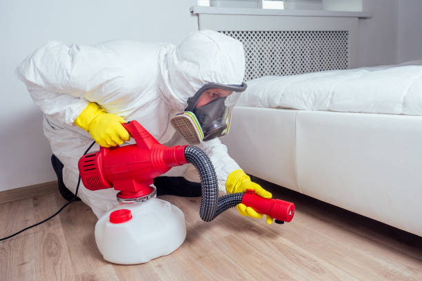 Best Pest Prevention Services  in Islandia, NY